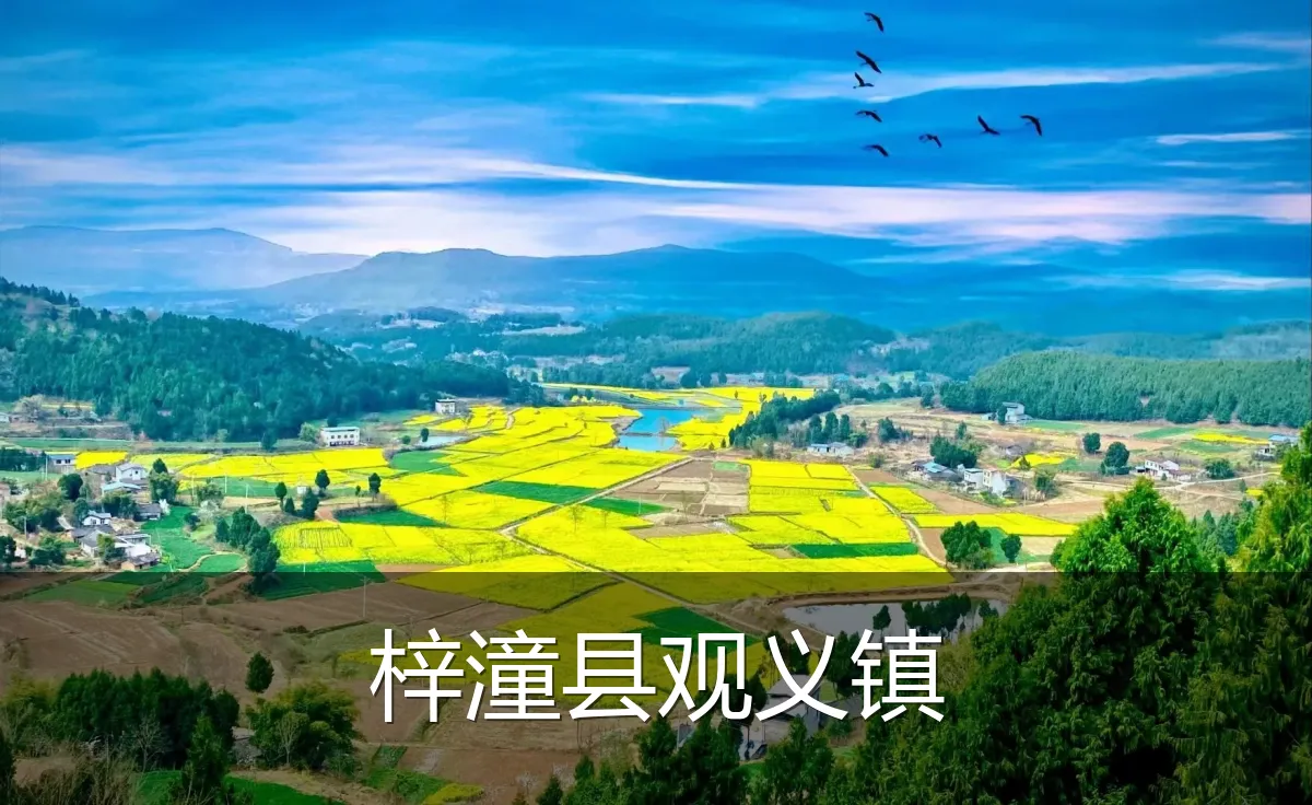 梓潼县观义镇
